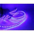 outdoor Indoor Use DC12V 24V 110V 220V 5M RGBW RGBWW LED waterproof IP20 IP67 5050 SMD 60led/M flexible RGBW led strip lighting